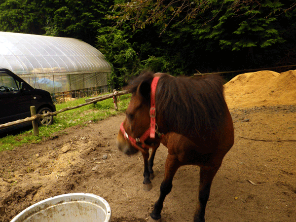 b0000209_5172274.gif