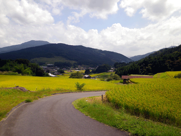 b0000209_5273280.gif
