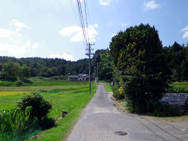 b0000209_5411197.gif