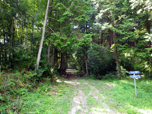 b0000209_5422391.gif