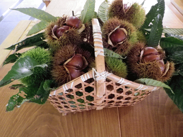 b0000209_572849.gif