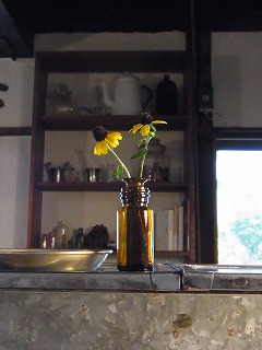 c0201910_1454898.jpg