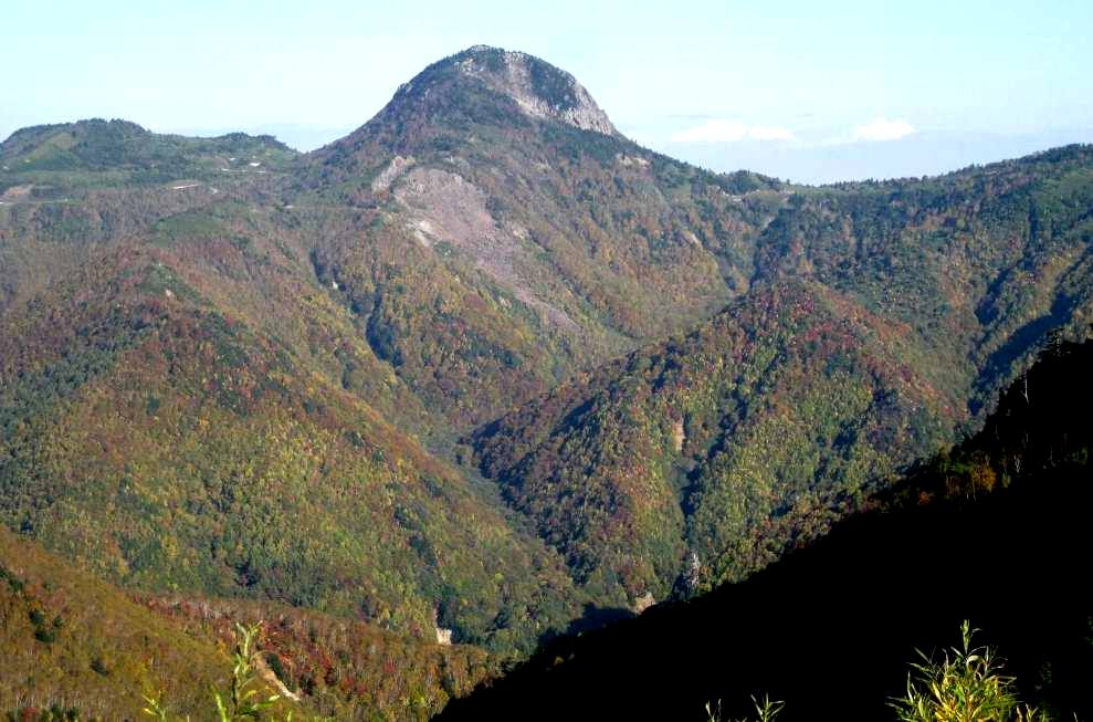 e0003910_19443068.jpg