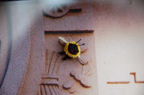 e0082110_3311942.jpg