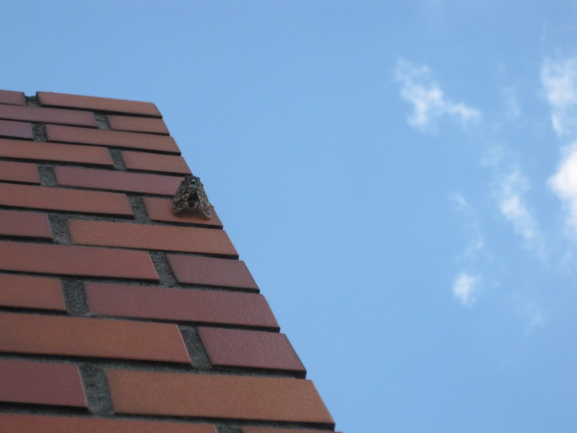d0094512_16591762.jpg