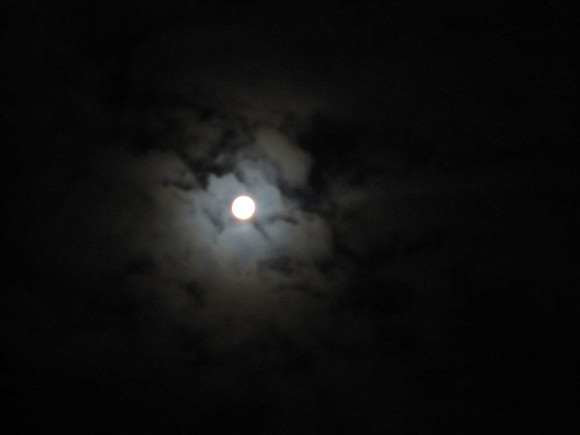b0174913_23311124.jpg