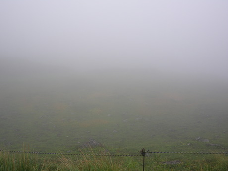 b0207514_21282826.jpg