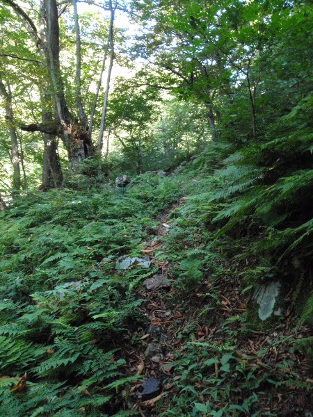 谷川岳-いわお新道_c0177814_1135870.jpg