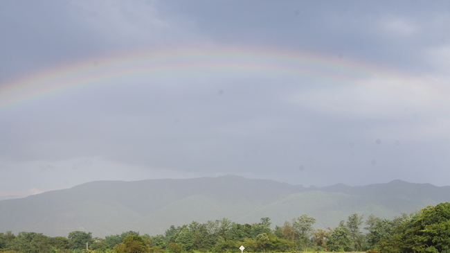 f0233414_2153455.jpg