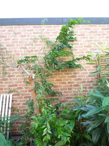 f0234817_10867.jpg