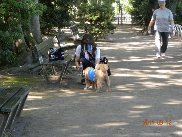 b0203018_18265769.jpg