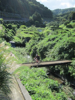 f0177521_2227122.jpg