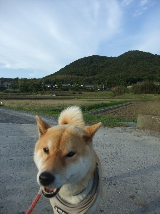 c0227522_9701.jpg