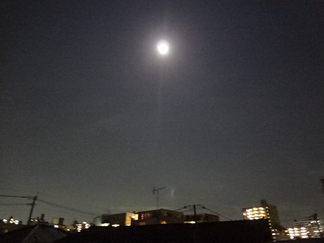 c0229423_236354.jpg