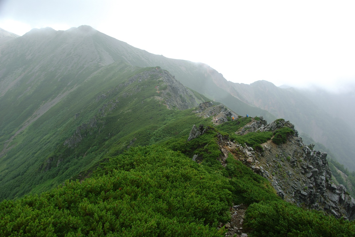 b0062024_1022778.jpg