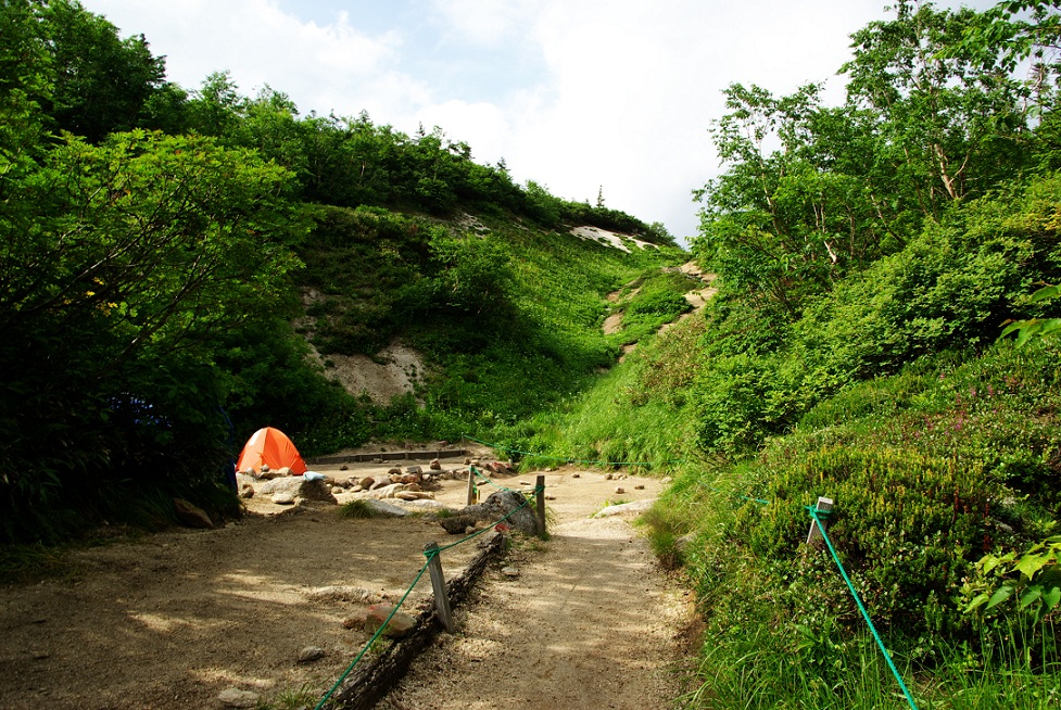 b0062024_10342256.jpg