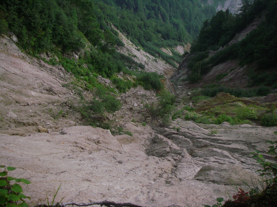 b0062024_10382328.jpg