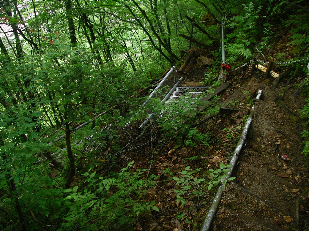 b0062024_10395294.jpg