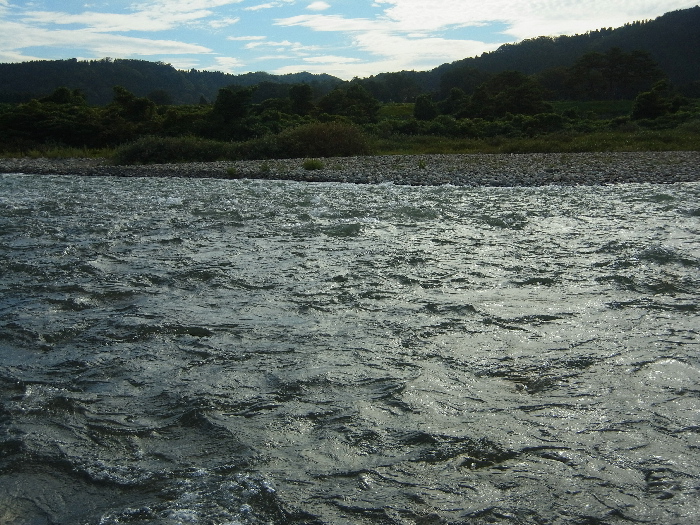 f0103126_21551257.jpg