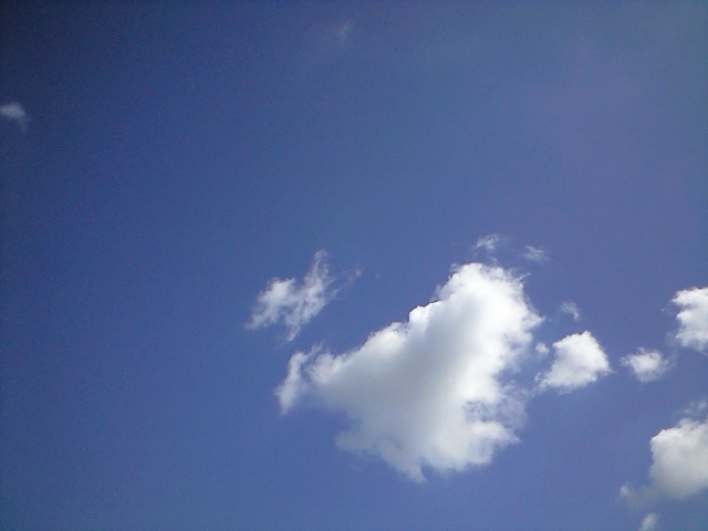 a0231827_14411543.jpg