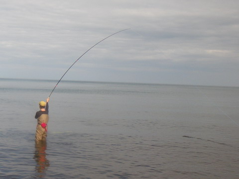 c0202727_20335251.jpg