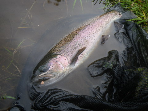 c0202727_20473872.jpg
