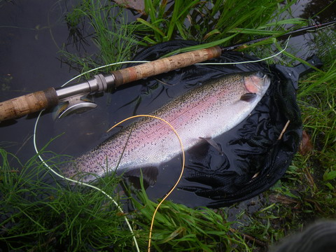 c0202727_2048642.jpg