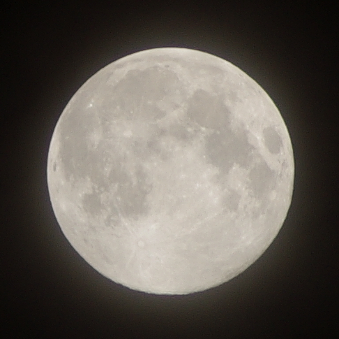 b0050130_23274363.jpg