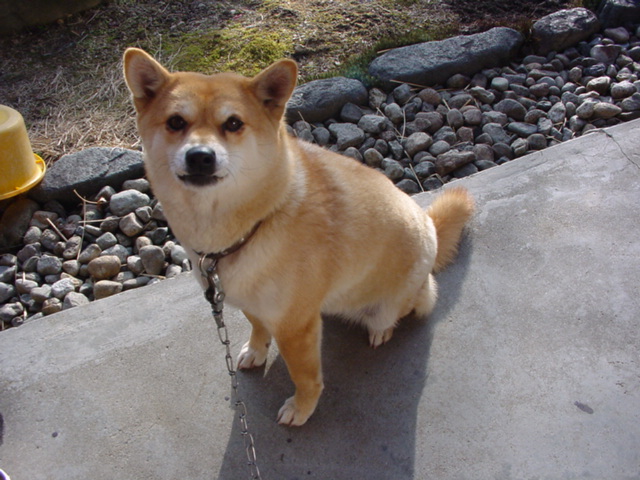 b0050130_23485830.jpg