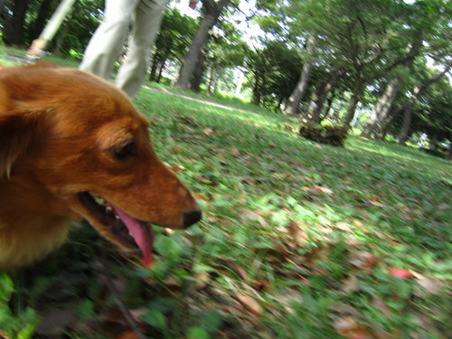 a0240233_11272486.jpg