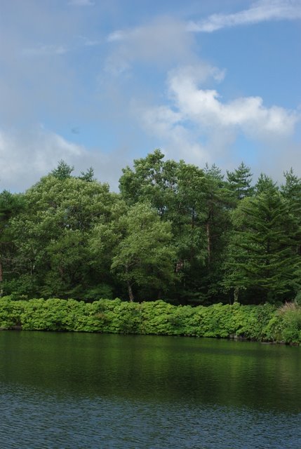 e0171336_16125168.jpg