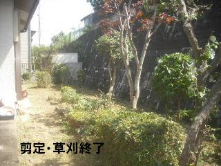 草刈り&剪定_f0031037_21102557.jpg