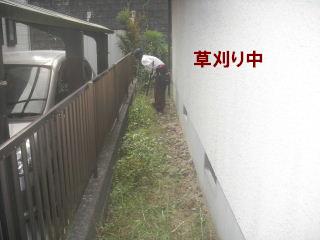 草刈り&剪定_f0031037_21124053.jpg
