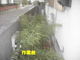 草刈り&剪定_f0031037_215228.jpg