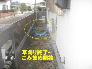 草刈り&剪定_f0031037_2152965.jpg