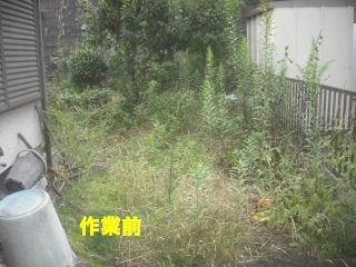草刈り&剪定_f0031037_2171634.jpg