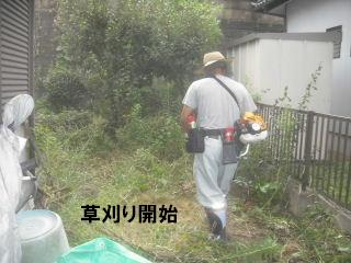 草刈り&剪定_f0031037_2172357.jpg