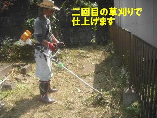 草刈り&剪定_f0031037_2175067.jpg