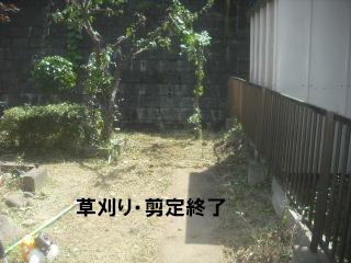 草刈り&剪定_f0031037_218198.jpg