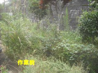 草刈り&剪定_f0031037_21951100.jpg