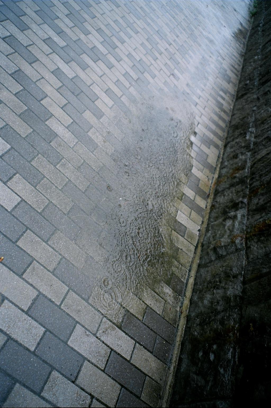 雨の糸島・呼子_a0228338_12365019.jpg