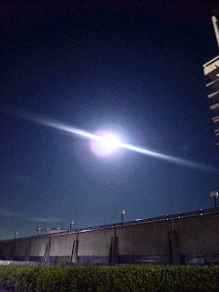 名月と沖縄からの便り_a0103940_23194131.jpg
