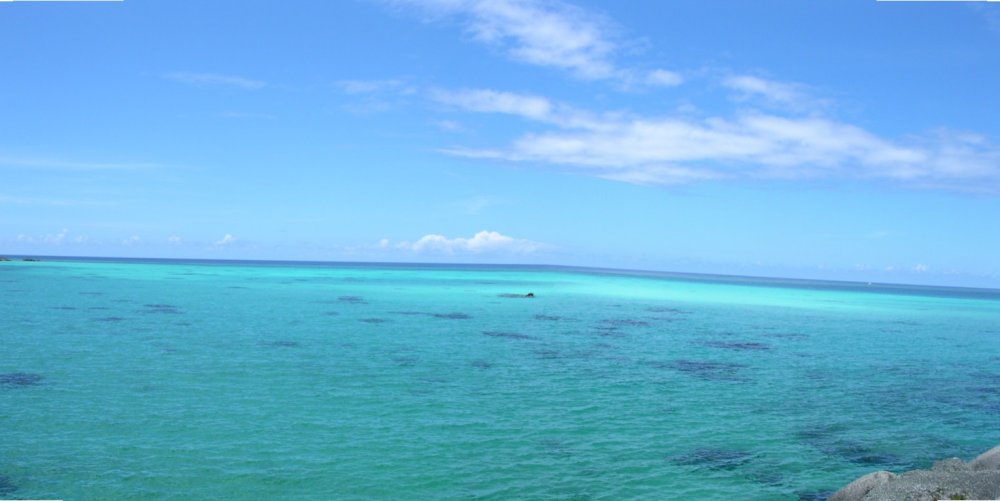 d0142944_22131563.jpg