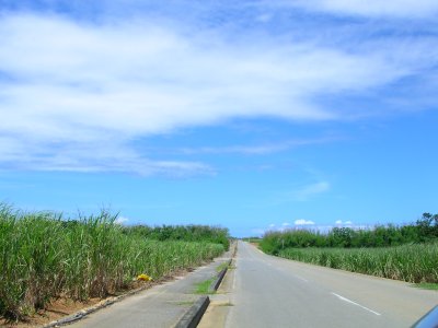 d0142944_2263169.jpg