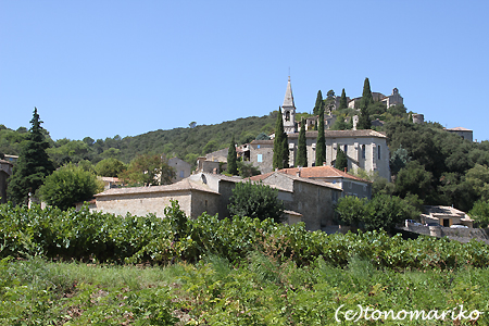 「La Roque-sur-Cèze」　南仏プロヴァンス旅行_c0024345_2045060.jpg