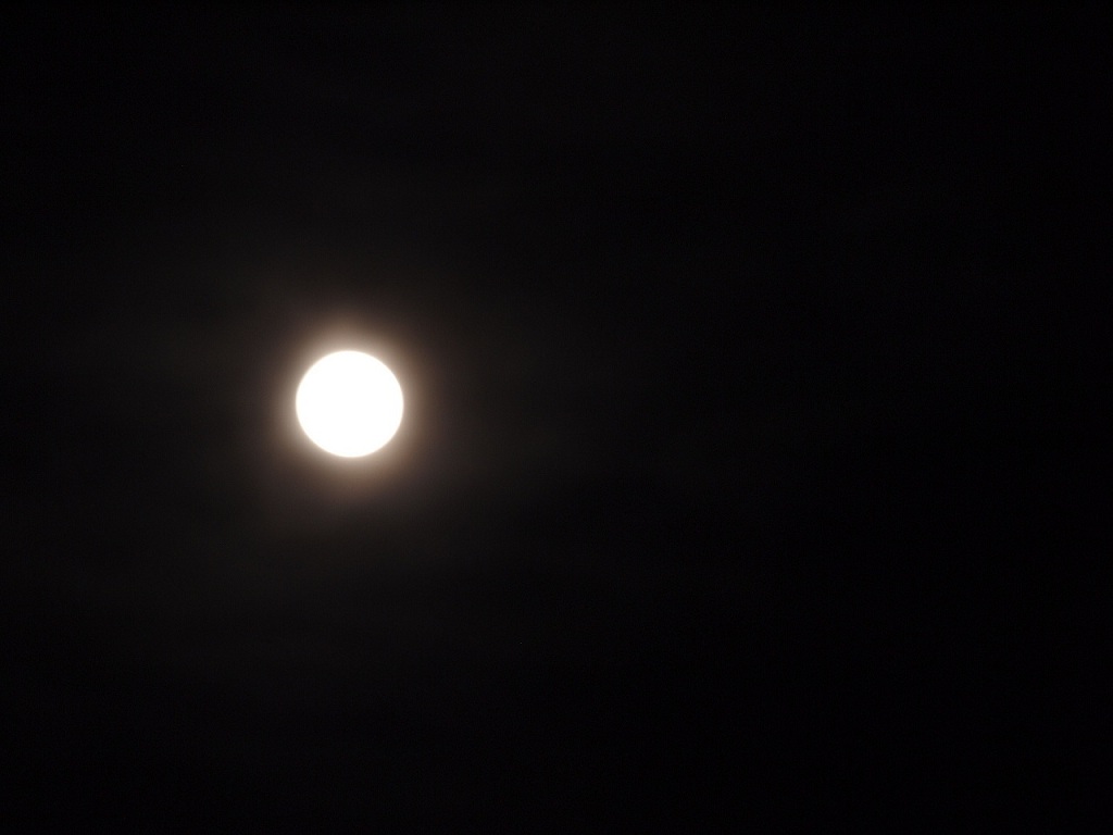 f0224347_23201785.jpg