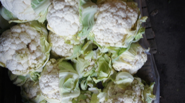 グルジア (10) 長寿の国グルジアのバザール その2_c0011649_110149.jpg