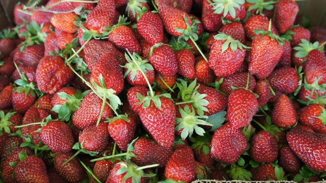 グルジア (10) 長寿の国グルジアのバザール その2_c0011649_118184.jpg