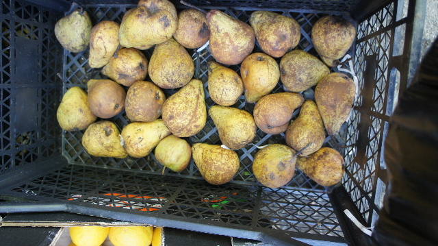 グルジア (10) 長寿の国グルジアのバザール その2_c0011649_121343.jpg