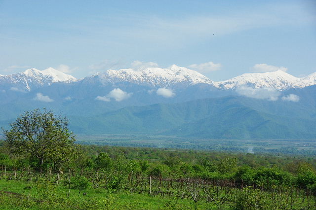 グルジア (10) 長寿の国グルジアのバザール その2_c0011649_1363352.jpg